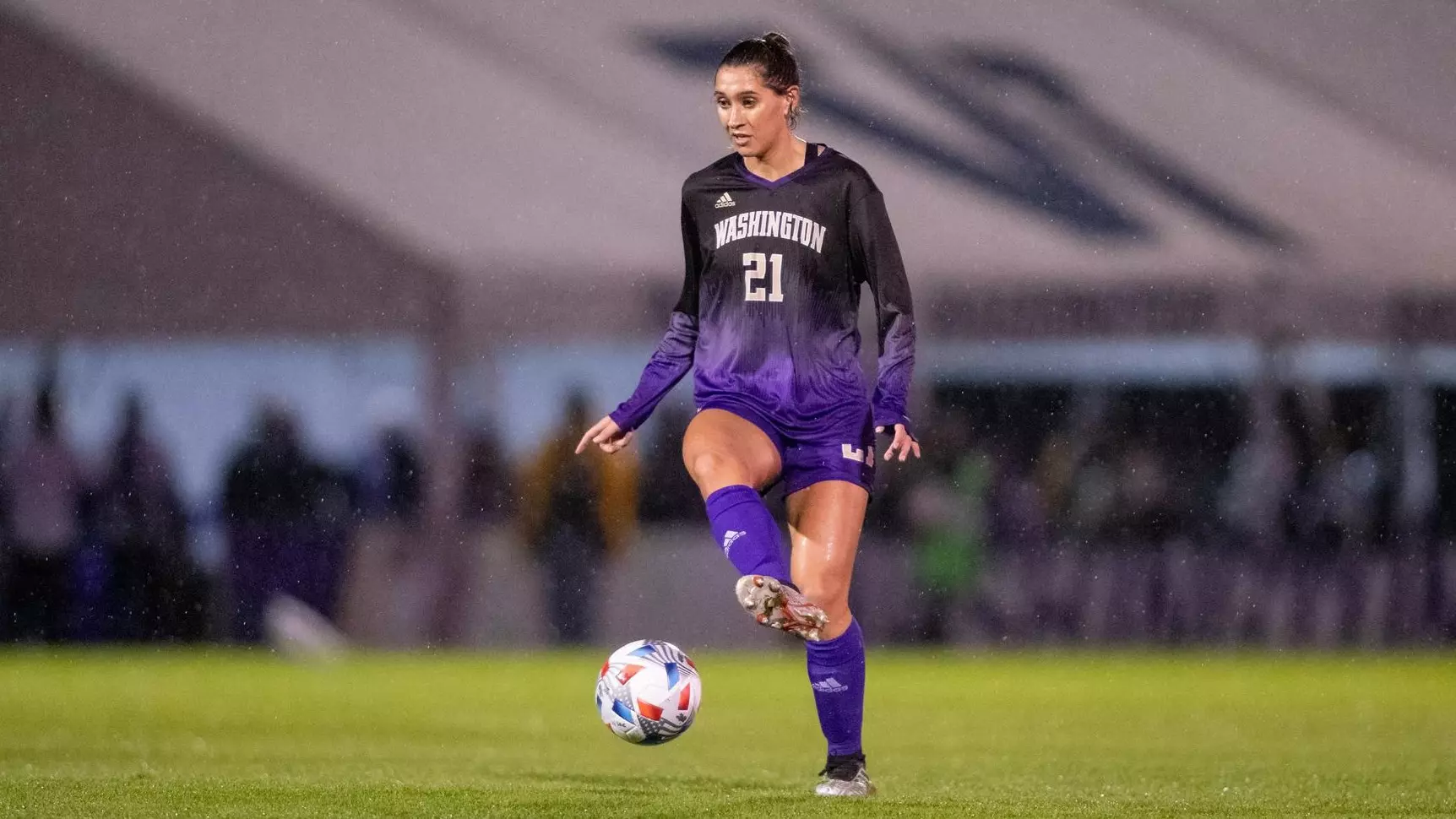 成功案例的 成功案例的