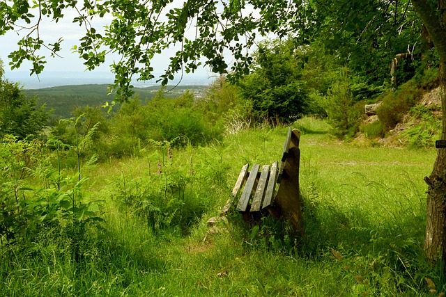 能带来的深 能带来的深